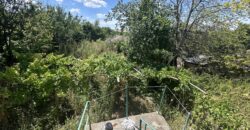 Meadow Brook Cottage – Tsar Asen