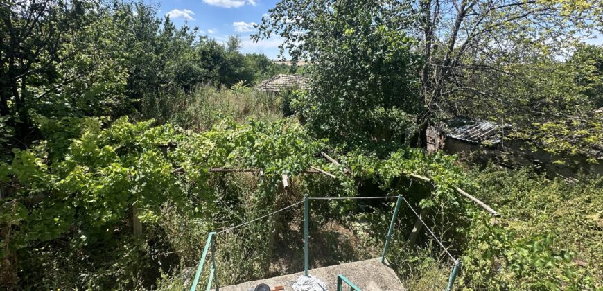 Meadow Brook Cottage – Tsar Asen