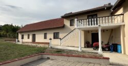 Dolphin House – Strahilovo