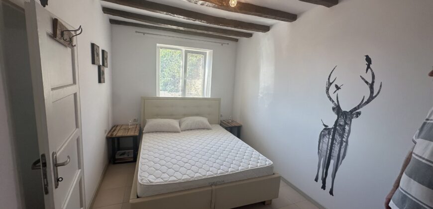 Pine Street House – Gorna Lipnitsa