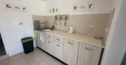 Pine Street House – Gorna Lipnitsa