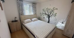 Pine Street House – Gorna Lipnitsa