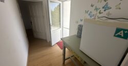 Pine Street House – Gorna Lipnitsa