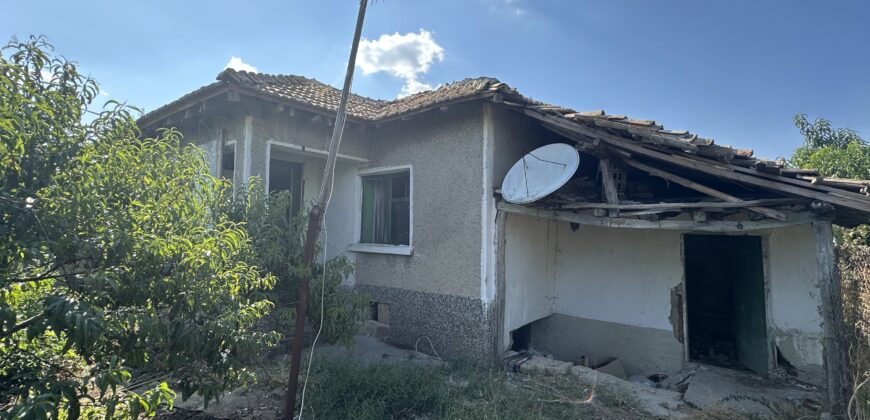 Horizon House – Lomtsi