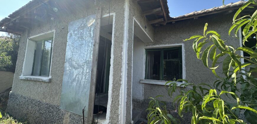 Horizon House – Lomtsi