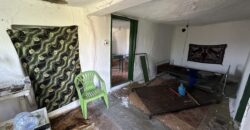 Horizon House – Lomtsi