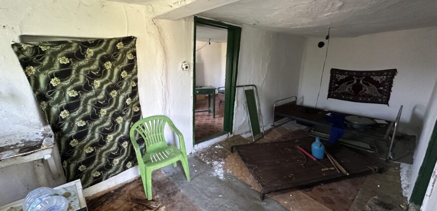 Horizon House – Lomtsi