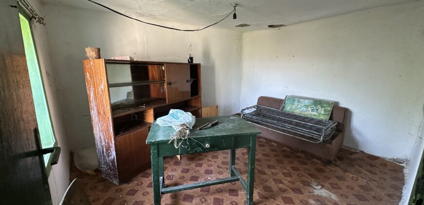 Horizon House – Lomtsi