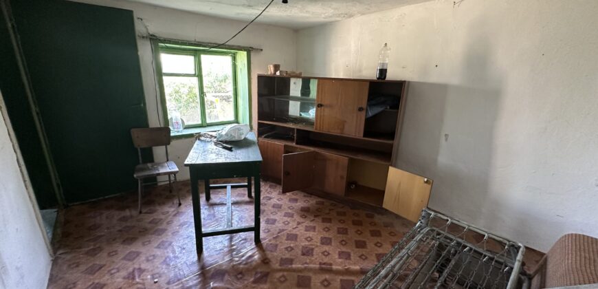 Horizon House – Lomtsi