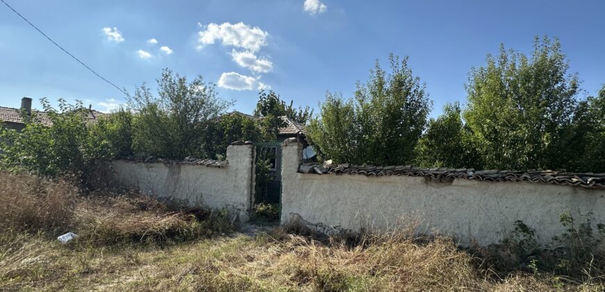 Horizon House – Lomtsi