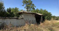 Horizon House – Lomtsi