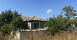 Horizon House – Lomtsi