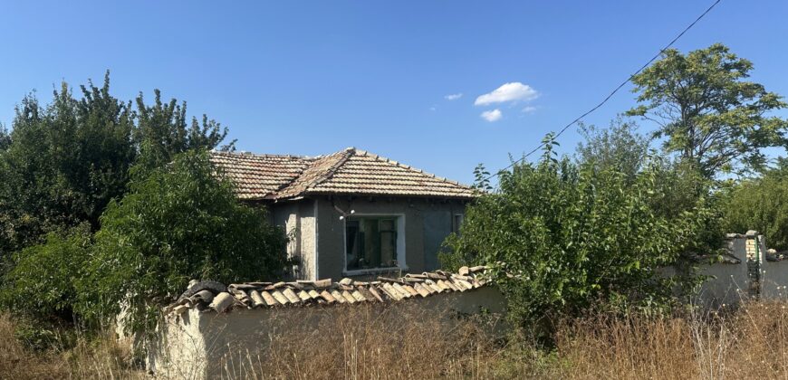 Horizon House – Lomtsi