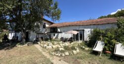 Sunset House – Mogilino