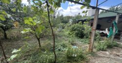 *SALE AGREED* The Albion House – Lom Cherkovna