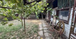 Sunrise Lodge – Berkovski