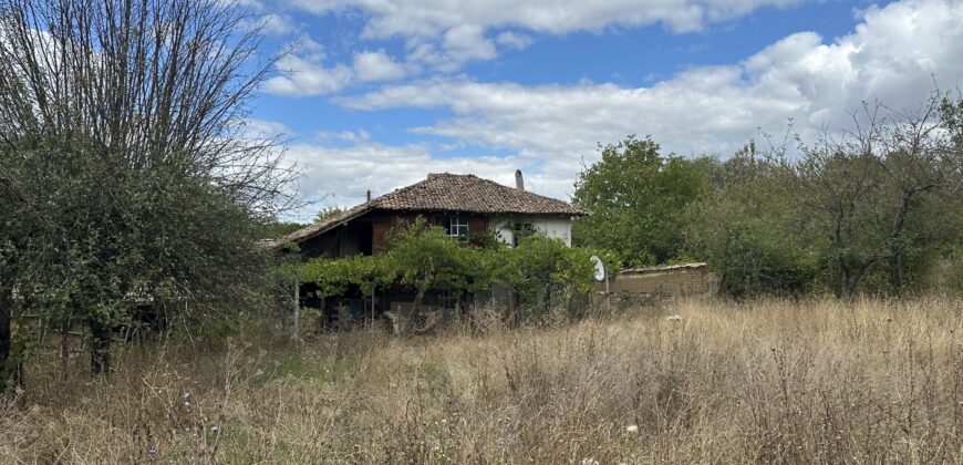 Country Cottage – Berkovski
