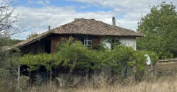 Country Cottage – Berkovski