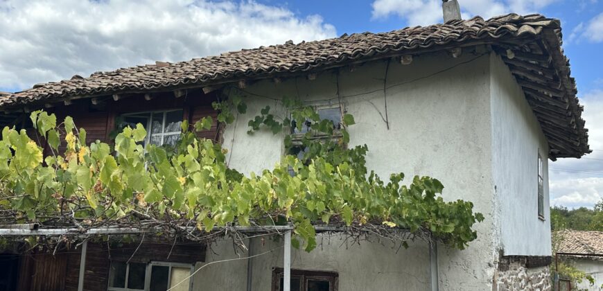 Country Cottage – Berkovski