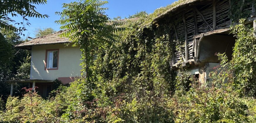 The Chilli House – Lyublen