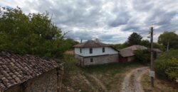Country Cottage – Berkovski