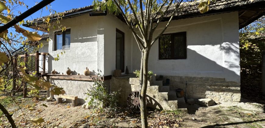 The Tuya Cottage – Palamartsa The Tuya Cottage – Palamartsa