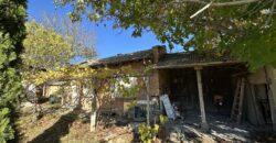 The Tuya Cottage – Palamartsa The Tuya Cottage – Palamartsa