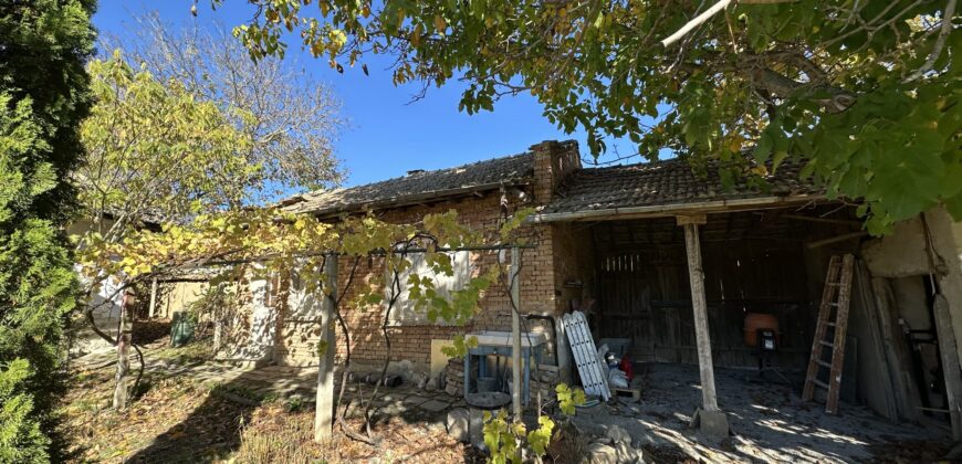 The Tuya Cottage – Palamartsa The Tuya Cottage – Palamartsa