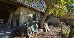 The Tuya Cottage – Palamartsa The Tuya Cottage – Palamartsa