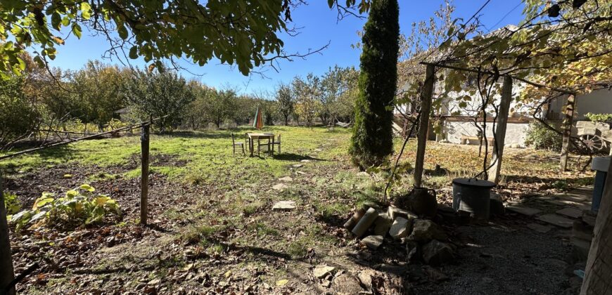 The Tuya Cottage – Palamartsa The Tuya Cottage – Palamartsa