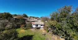 The Tuya Cottage – Palamartsa The Tuya Cottage – Palamartsa