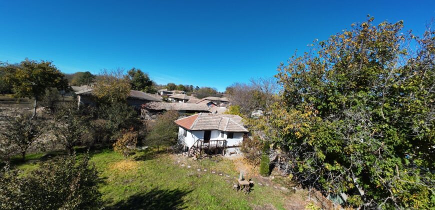 The Tuya Cottage – Palamartsa The Tuya Cottage – Palamartsa