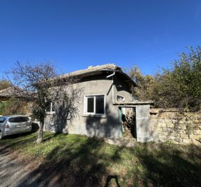 Shrubbery House – Tsar Asen