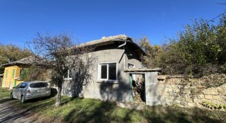 Shrubbery House – Tsar Asen