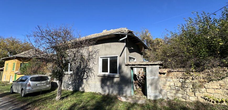 Shrubbery House – Tsar Asen