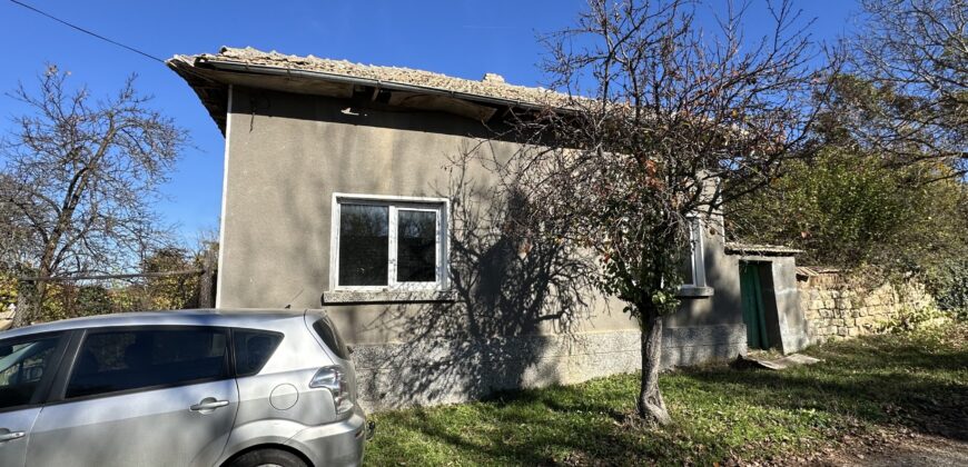 Shrubbery House – Tsar Asen