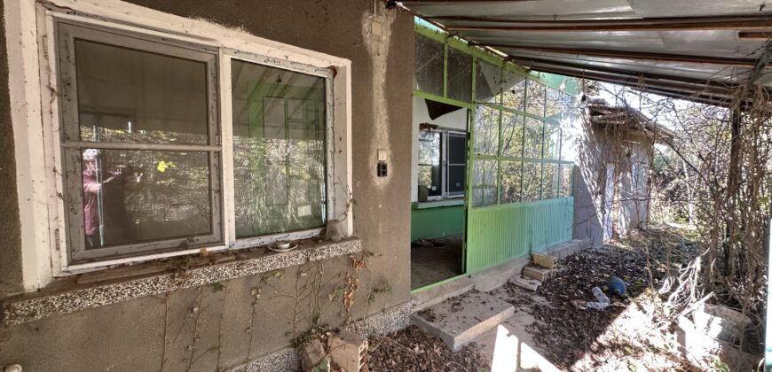 Shrubbery House – Tsar Asen