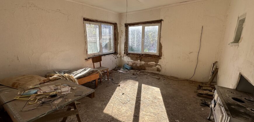 Shrubbery House – Tsar Asen