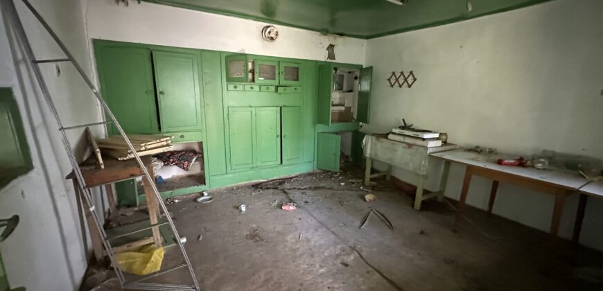 Shrubbery House – Tsar Asen