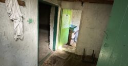 Shrubbery House – Tsar Asen