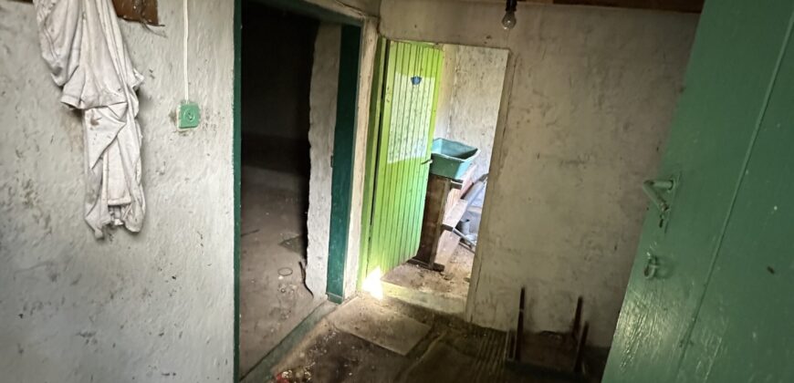 Shrubbery House – Tsar Asen