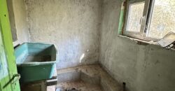 Shrubbery House – Tsar Asen