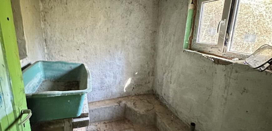 Shrubbery House – Tsar Asen