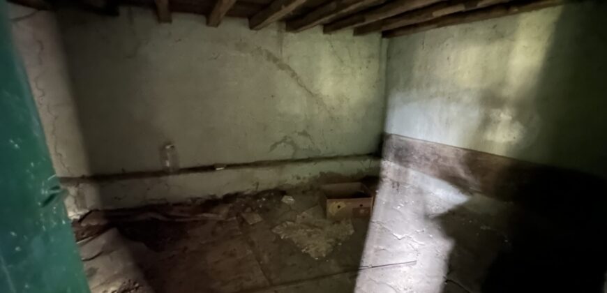 Shrubbery House – Tsar Asen