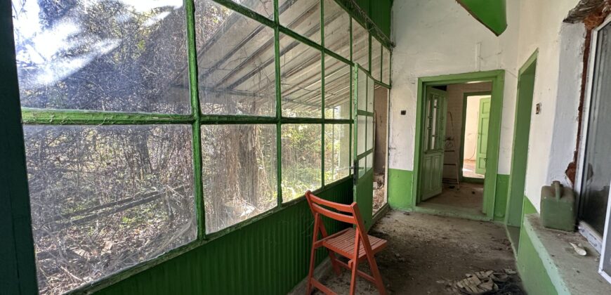 Shrubbery House – Tsar Asen