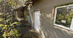 Shrubbery House – Tsar Asen