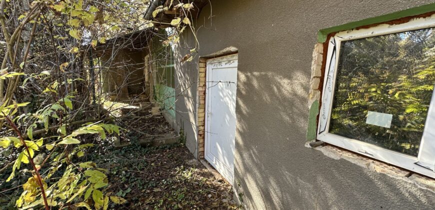 Shrubbery House – Tsar Asen