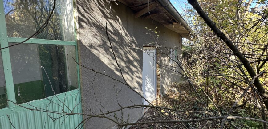 Shrubbery House – Tsar Asen