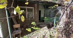 Shrubbery House – Tsar Asen