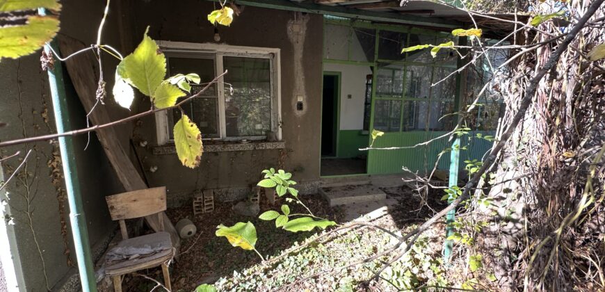 Shrubbery House – Tsar Asen